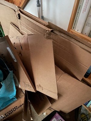 Photo of free Large pieces of cardboard. (Hayle TR27)