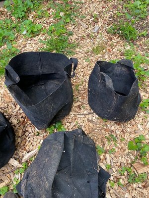 Photo of free Grow bags - black fabric (1501 Charles near Pitt, dwtn)