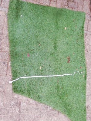 Photo of free Artificial grass offcut (Sedbergh LA10)