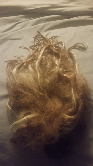 Photo of free Wig costume (Fort Myers)