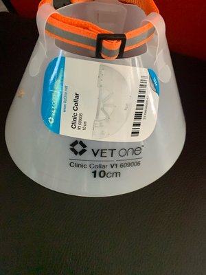 Photo of free cat collar cone (Sunnyvale 94087)
