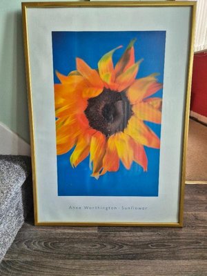 Photo of free Large Sunflower picture in frame. (Rumby Hill DL15)