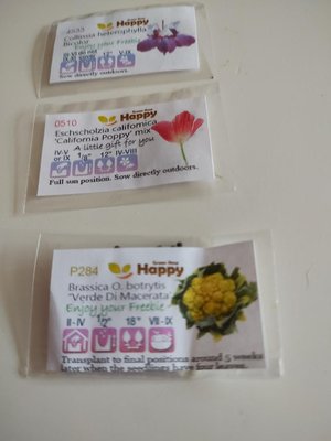 Photo of free Flower seeds (Fiveways Brighton)