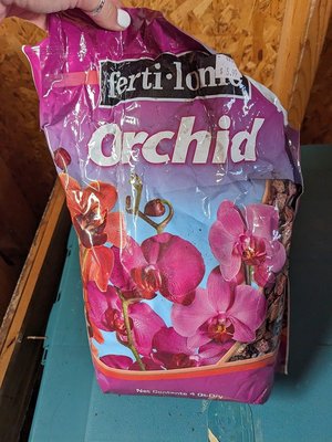 Photo of free Orchid Food (Main St - Pleasant Ln Lombard)