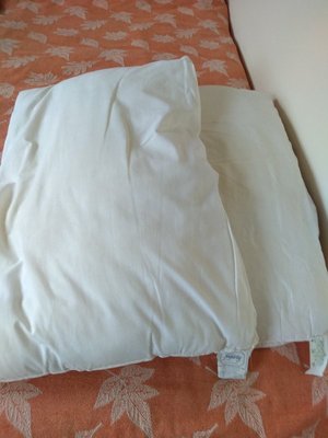 Photo of free 2 Pillows (Woodmancote GL11)