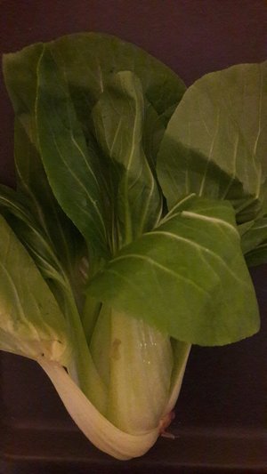 Photo of free Lettuce Salad (Birmingham City Centre)