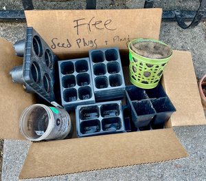 Photo of free Seed plugs, seedling pots (Ridgewood NY)