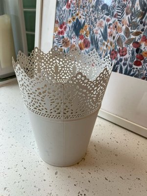 Photo of free Plant pot (EH10)