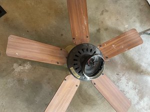 Photo of free Brown ceiling fan with lights (North Hills Raleigh)