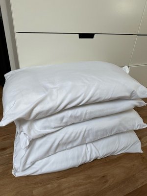 Photo of free 4 clean pillows (SS9)