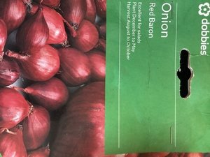Photo of free Red & White onion sets (50 in each) (Cockermouth CA13)