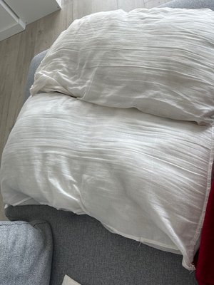 Photo of free 2 regular sized pillows (E16)