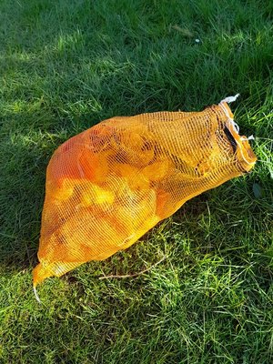 Photo of free Plastic net bags (SW Edinburgh EH14)