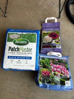 Photo of free old flower bulbs and grass patcher (Seward Park)