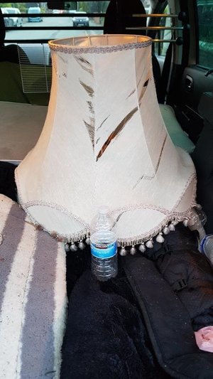 Photo of free Large lamp shade for upcycling (Orford WA2)