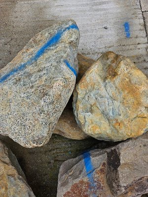 Photo of free Landscape rocks (Belmont)
