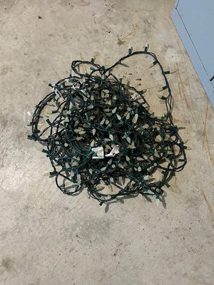 Photo of free Christmas lights (milton, derry and scottl)