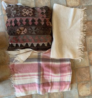 Photo of free Cushion and blankets. Animal bedding. (Hampden Park BN22)