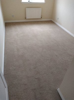 Photo of free Carpets (Harrowgate Hill DL3)