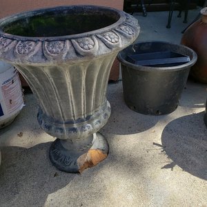 Photo of free Garden Pots and Planters (Novato)