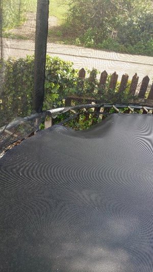 Photo of free Well used trampoline 10 feet (Great Parndon CM19)