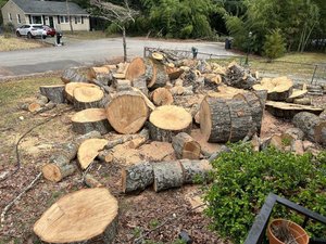 Photo of free wood (North Chesterfield, VA)