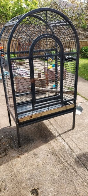 Photo of free Large metal parrot cage (Tackley OX5)