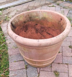 Photo of free Large plant pot (West Worthing BN12)