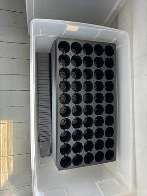 Photo of free seedling trays (Fairview Ave Watertown)