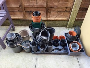 Photo of free Plant pots (Horwich BL6)