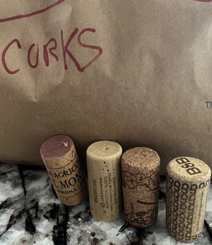 Photo of free Bag of wine corks for crafting (Danvers near 62/128/35)