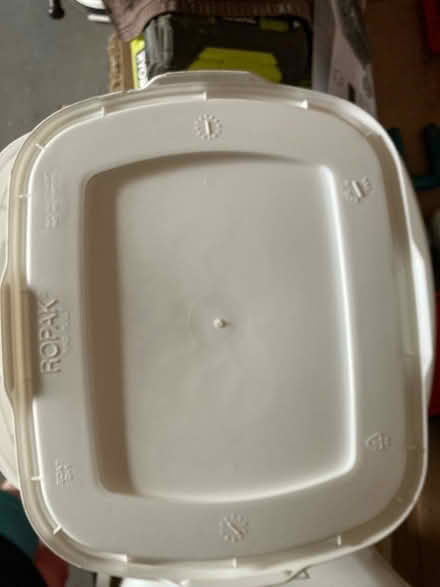 Photo of free 5 Food safe lidded buckets (Pembroke Pines)