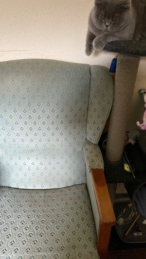 Photo of free Small arm chair (Underdale SY2)