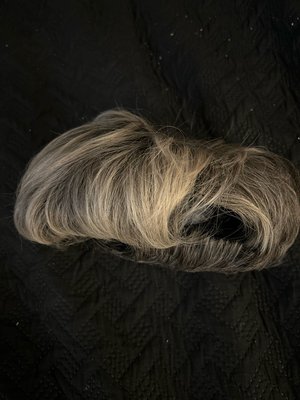 Photo of free Blonde pixie wig (Wood-Ridge)