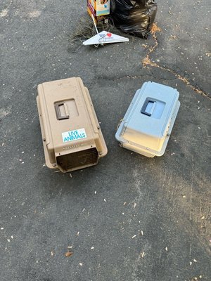 Photo of free Small animal carriers (Fairfax Station)