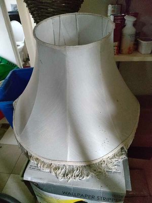 Photo of free Lamp shade (Lower Ansty DT2)