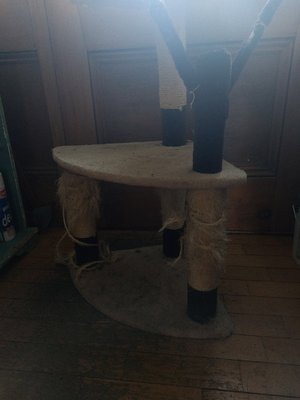 Photo of free Cat scratch tree/platform (Oswestry SY11)