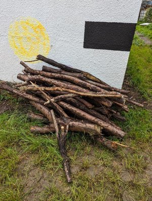Photo of free Logs (BS7)