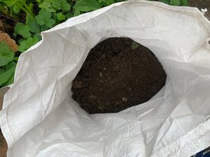 Photo of free Top soil (Lower Weston)