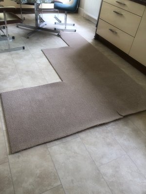 Photo of free Carpet off cut (BH15)