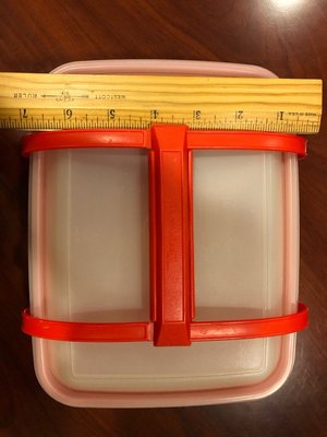 Photo of free Tupperware lunch box/picnic case (Bethesda- River Rd & Wilson Ln)
