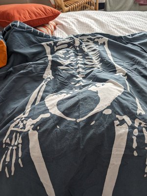 Photo of free Boys duvet cover with skeleton print (Winton BH9)
