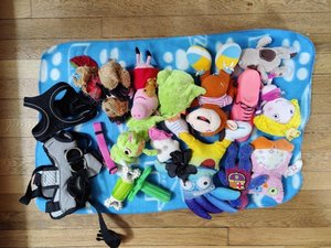 Photo of free Puppy toys and small harness x2 (Friern Barnet, N11)