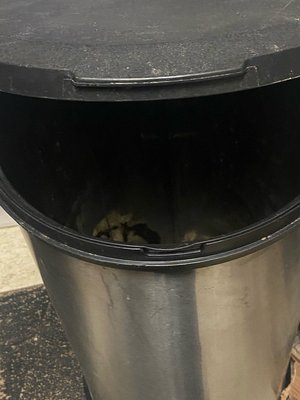 Photo of free Trash can (West 57th)