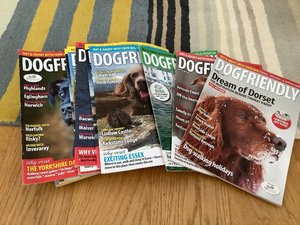 Photo of free 22 Dog Friendly magazines (Germoe TR20)