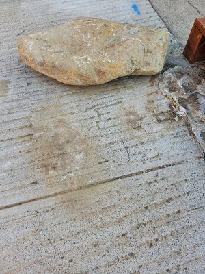 Photo of free landscaping rock (Belmont)