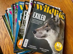 Photo of free 13 issues of BBC Wildlife March 23 to March 24 (Maulds Meaburn CA10)