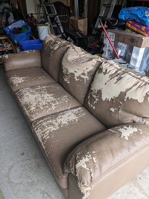 Photo of free Couch/Chesterfield (Milton near downtown)