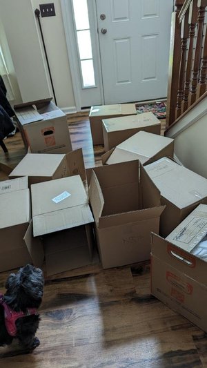 Photo of free Lots more moving and banker boxes (Stonechase)