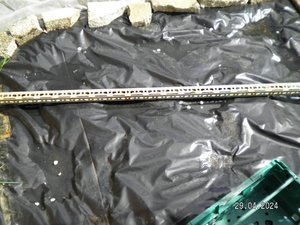 Photo of Angle iron or industrial vertical shelf supports (New Costessey NR5)